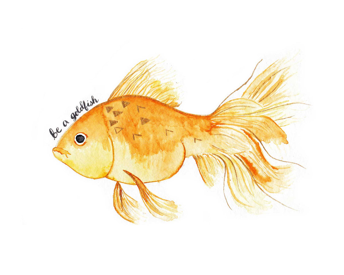 Image of Goldfish, 1992 (gouache on paper) by Lawrence, Sandra (b